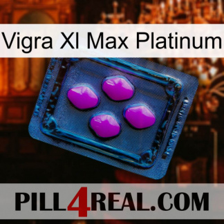 Vigra Xl Max Platinum 04